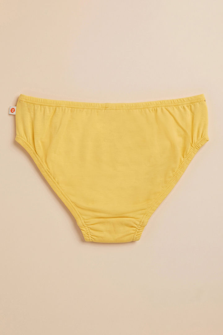 Zivame Girls Harry Potter Briefs (Pack of 2) - Multicolor — image 3